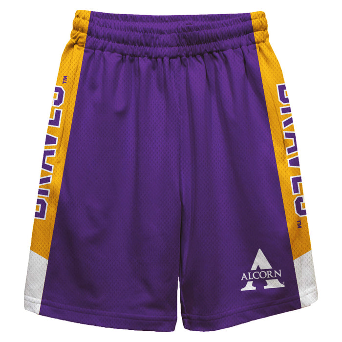 Alcorn State Braves ASU Vive La Fete Game Day Purple Stripes Boys Solid Gold Athletic Mesh Short