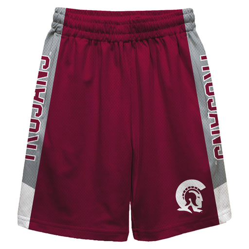 Little Rock Trojans UALR Vive La Fete Game Day Maroon Stripes Boys Solid Gray Athletic Mesh Short