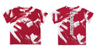Arkansas Razorbacks Vive La Fete Boys Game Day Cardinal Short Sleeve Tee Paint Brush - Vive La Fête - Online Apparel Store