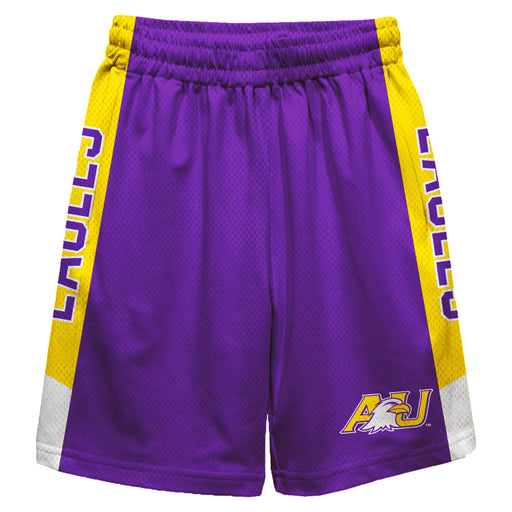 Ashland Eagles AU Vive La Fete Game Day Purple Stripes Boys Solid Gold Athletic Mesh Short