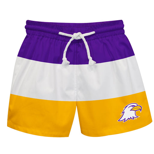 Ashland Eagles AU Vive La Fete Purple White Gold Stripes Swimtrunks V1