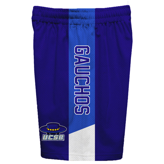 UC Santa Barbara Gauchos UCSB Vive La Fete Game Day Purple Stripes Boys Solid Blue Athletic Mesh Short - Vive La Fête - Online Apparel Store