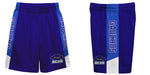 UC Santa Barbara Gauchos UCSB Vive La Fete Game Day Purple Stripes Boys Solid Blue Athletic Mesh Short - Vive La Fête - Online Apparel Store