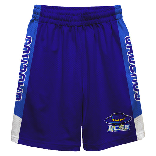 UC Santa Barbara Gauchos UCSB Vive La Fete Game Day Purple Stripes Boys Solid Blue Athletic Mesh Short
