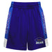 UC Santa Barbara Gauchos UCSB Vive La Fete Game Day Purple Stripes Boys Solid Blue Athletic Mesh Short