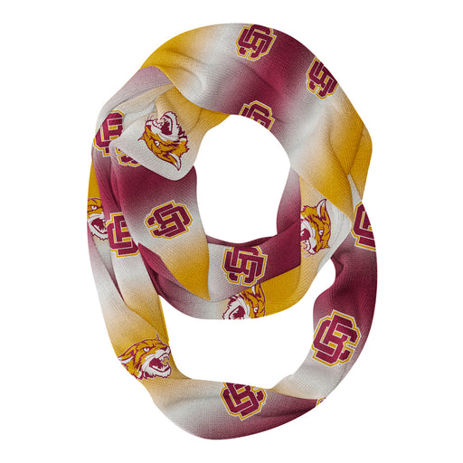 Bethune-Cookman Wildcats Vive La Fete All Over Logo Game Day Collegiate Women Ultra Soft Knit Infinity Scarf