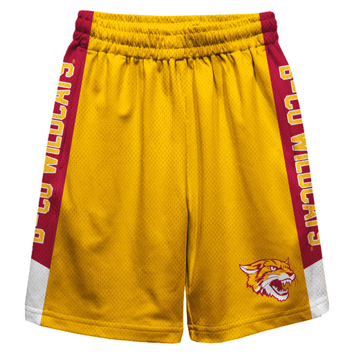 Bethune-Cookman Wildcats Vive La Fete Game Day Yellow Stripes Boys Solid Maroon Athletic Mesh Short