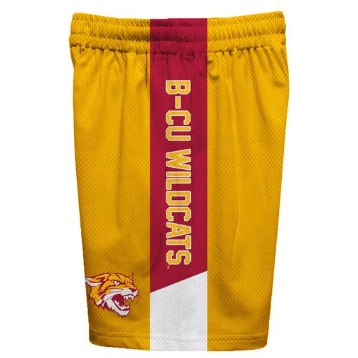 Bethune-Cookman Wildcats Vive La Fete Game Day Yellow Stripes Boys Solid Maroon Athletic Mesh Short - Vive La Fête - Online Apparel Store