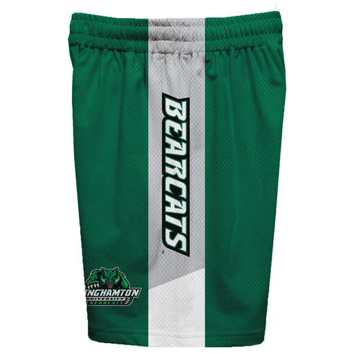 Binghamton Bearcats Vive La Fete Game Day Green Stripes Boys Solid Gray Athletic Mesh Short - Vive La Fête - Online Apparel Store