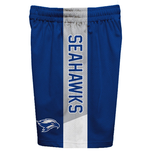 Broward Seahawks Vive La Fete Game Day Blue Stripes Boys Solid Gray Athletic Mesh Short - Vive La Fête - Online Apparel Store