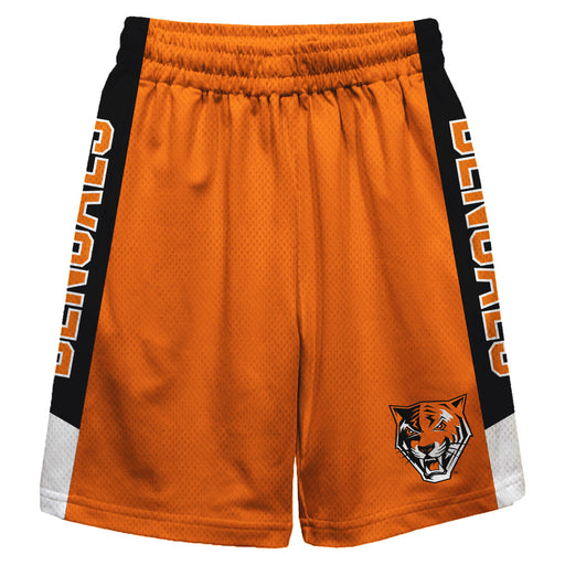 Buffalo Bengals Vive La Fete Game Day Orange Stripes Boys Solid Black Athletic Mesh Short