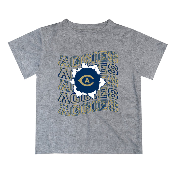 UC Davis Aggies Vive La Fete  Gray Art V1 Short Sleeve Tee Shirt