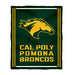 Cal Poly Pomona Broncos Vive La Fete Kids Game Day Green Plush Soft Minky Blanket 36 x 48 Mascot