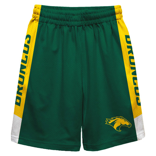 Cal Poly Pomona Broncos Vive La Fete Game Day Green Stripes Boys Solid Gold Athletic Mesh Short