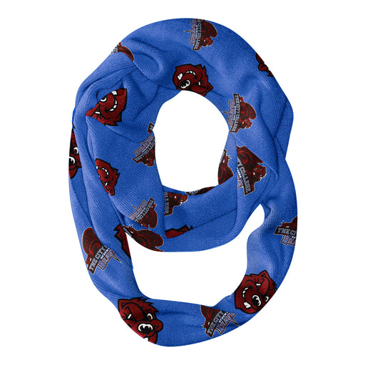 City College of New York Beavers Vive La Fete Repeat Logo Collegiate Women Light Weight Ultra Soft Infinity Scarf