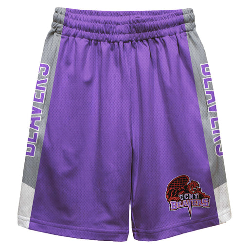 City College of New York Beavers Vive La Fete Game Day Purple Stripes Boys Solid Gray Athletic Mesh Short