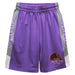 City College of New York Beavers Vive La Fete Game Day Purple Stripes Boys Solid Gray Athletic Mesh Short