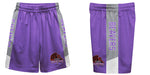 City College of New York Beavers Vive La Fete Game Day Purple Stripes Boys Solid Gray Athletic Mesh Short - Vive La Fête - Online Apparel Store