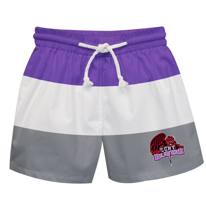 City College of New York Beavers Vive La Fete Purple White Gray Stripes Swimtrunks V1