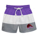 City College of New York Beavers Vive La Fete Purple White Gray Stripes Swimtrunks V1