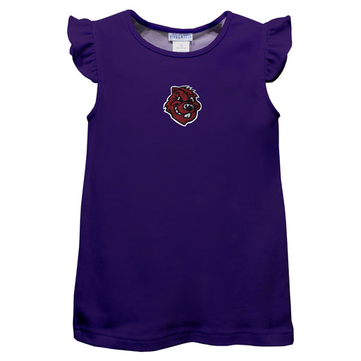 City College of New York Beavers Embroidered Purple Knit Angel Sleeve