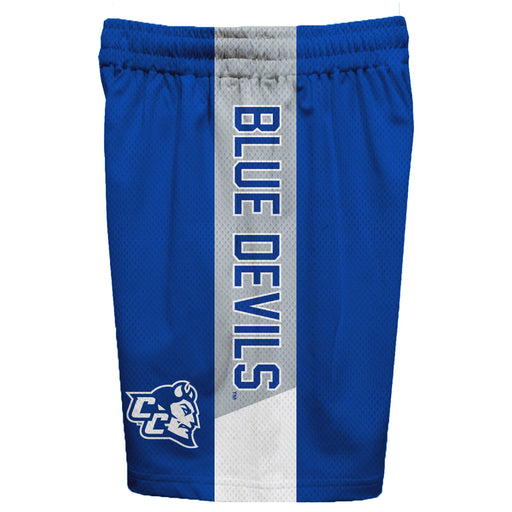 CCSU Blue Devils Vive La Fete Game Day Blue Stripes Boys Solid Gray Athletic Mesh Short - Vive La Fête - Online Apparel Store