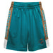 Coastal Carolina Chanticleers CCU Vive La Fete Game Day Teal Stripes Boys Solid Gold Athletic Mesh Short