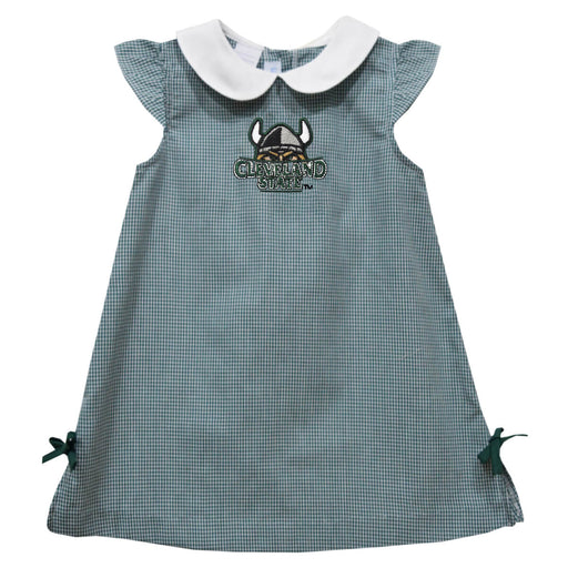 Cleveland State Vikings Embroidered Hunter Green Gingham A Line Dress
