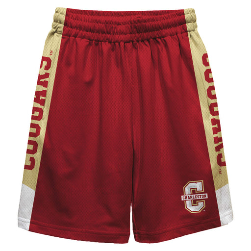Charleston Cougars COC Vive La Fete Game Day Maroon Stripes Boys Solid Gold Athletic Mesh Short