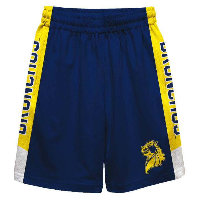 Central Oklahoma Bronchos UCO Vive La Fete Game Day Blue Stripes Boys Solid Yellow Athletic Mesh Short