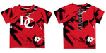 Davidson College Wildcats Vive La Fete Boys Game Day Red Short Sleeve Tee Paint Brush - Vive La Fête - Online Apparel Store
