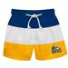 Drexel Dragon Vive La Fete Blue White Gold Stripes Swimtrunks V1