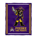 East Carolina Pirates Vive La Fete Kids Game Day Purple Plush Soft Minky Blanket 36 x 48 Mascot