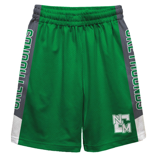 ENMU Eastern New Mexico Greyhounds Vive La Fete Game Day Green Stripes Boys Solid Gray Athletic Mesh Short