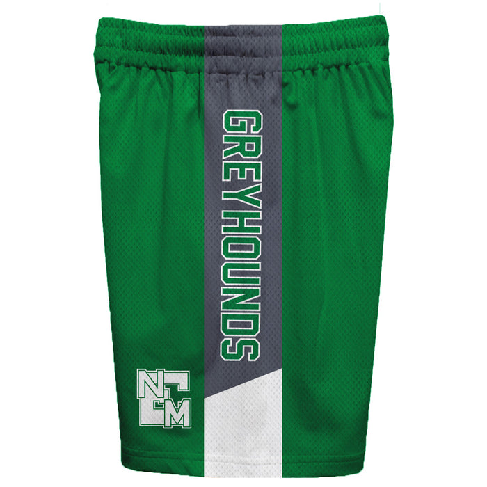 ENMU Eastern New Mexico Greyhounds Vive La Fete Game Day Green Stripes Boys Solid Gray Athletic Mesh Short - Vive La Fête - Online Apparel Store