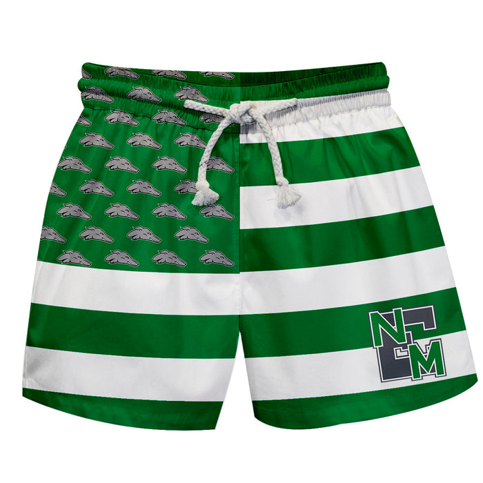 ENMU Eastern New Mexico Greyhounds Vive La Fete Game Day Green White Flag Swimtrunks V1