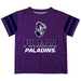 Furman Paladins Stripes Purple Short Sleeve Tee Shirt - Vive La Fête - Online Apparel Store