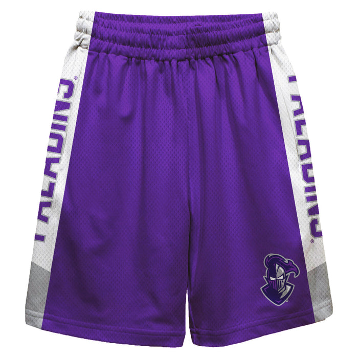 Furman Paladins Vive La Fete Game Day Purple Stripes Boys Solid White Athletic Mesh Short