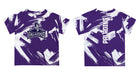 Furman Paladins Vive La Fete Boys Game Day Purple Short Sleeve Tee Paint Brush - Vive La Fête - Online Apparel Store