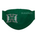 Hawaii Rainbow Warriors Face Mask Green Set of Three - Vive La Fête - Online Apparel Store