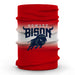Howard University Bison Vive La Fete Degrade Logo Game Day Collegiate Face Cover Soft 4-Way Stretch Neck Gaiter - Vive La Fête - Online Apparel Store