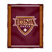 Iona College Gaels Vive La Fete Kids Game Day Maroon Plush Soft Minky Blanket 36 x 48 Mascot