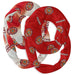 Louisiana Ragin Cajuns Vive La Fete All Over Logo Collegiate Women Set of 2 Light Weight Ultra Soft Infinity Scarfs