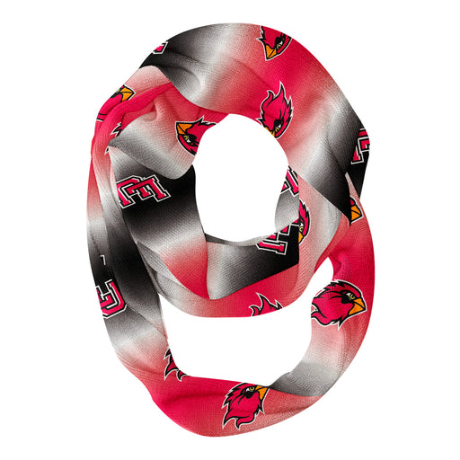 Lamar Cardinals Vive La Fete All Over Logo Game Day Collegiate Women Ultra Soft Knit Infinity Scarf