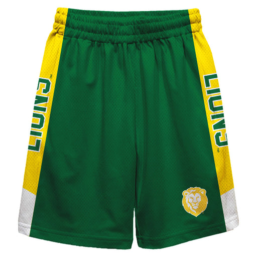 Southeastern Louisiana Lions Vive La Fete Game Day Green Stripes Boys Solid Gold Athletic Mesh Short
