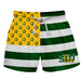 Southeastern Louisiana Lions Vive La Fete Game Day Green White Gold Flag Swimtrunks V1