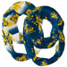 North Carolina A&T Aggies Vive La Fete All Over Logo Collegiate Women Set of 2 Light Weight Ultra Soft Infinity Scarfs