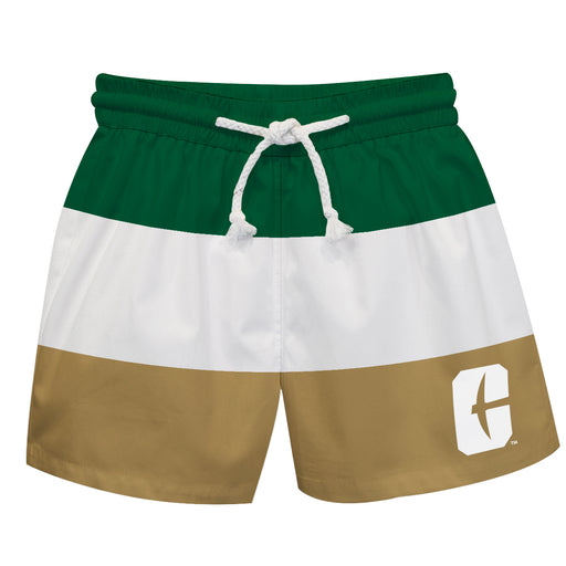 UNC Charlotte 49ers Vive La Fete Green White Gold Stripes Swimtrunks V1