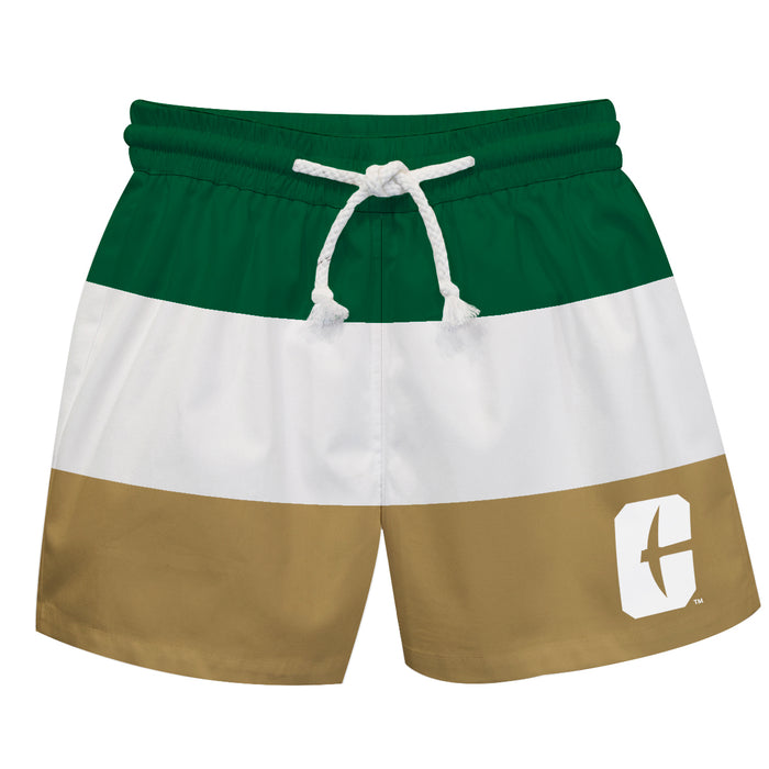 UNC Charlotte 49ers Vive La Fete Green White Gold Stripes Swimtrunks V1