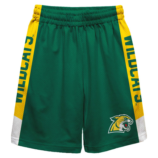 Northern Michigan Wildcats Vive La Fete Game Day Green Stripes Boys Solid Gold Athletic Mesh Short